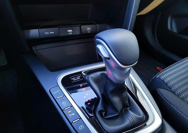Kia Ceed cena 115900 przebieg: 6786, rok produkcji 2023 z Płoty małe 407